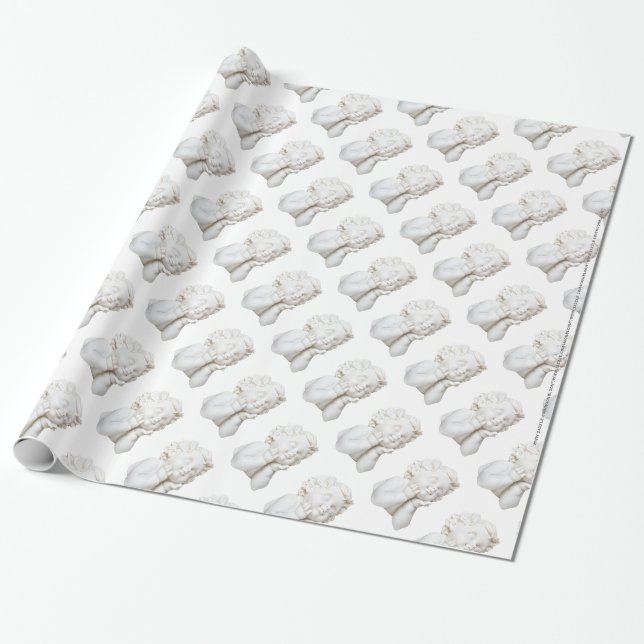 Papier Cadeau Ligne blanche (Déroulé)