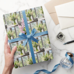 Papier Cadeau Lily Du Bouquet De La Vallée