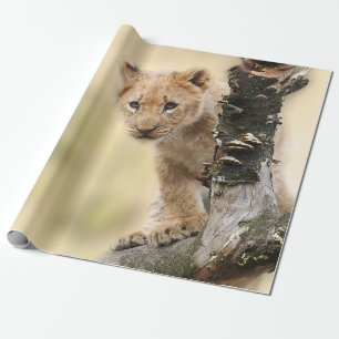 Papier Cadeau Lion CUB mignon dans un arbre