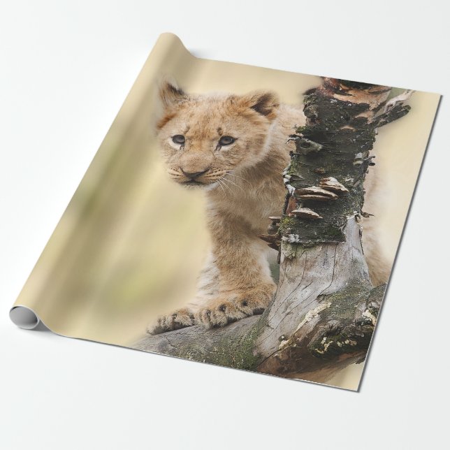 Papier Cadeau Lion CUB mignon dans un arbre (Déroulé)