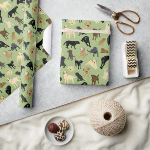 Papier Cadeau Lotsa Labs sur le rouleau vert sauge de 