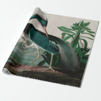 Louisiana Heron Birds of America Audubon Imprimer