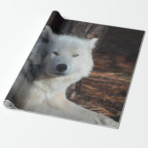 Papier Cadeau Loup arctique adorable