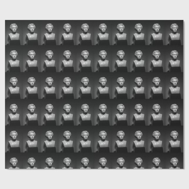 Papier Cadeau Ludwig Van Beethoven - Motif plus petit (Plat)