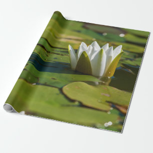 Papier Cadeau Lys d'eau