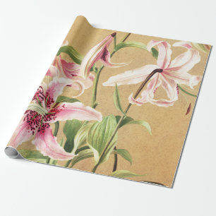 Papier Cadeau Lys roses en fleurs 1886 Floral Fleur Vintage