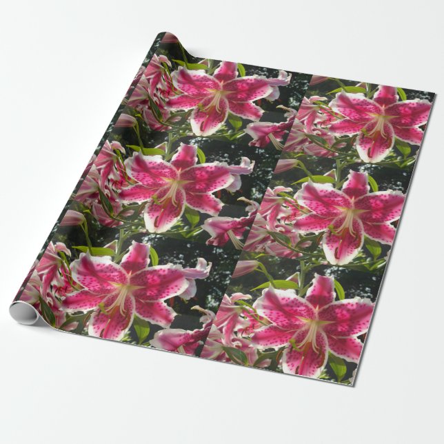 Papier Cadeau Lys roses fleurs tropicales roses rose (Déroulé)