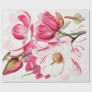 Papier Cadeau Magnolia de Campbell