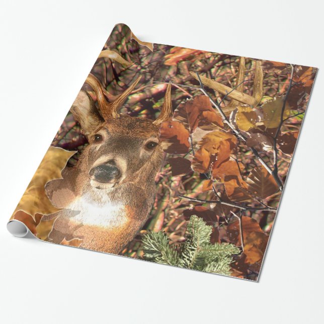 Papier Cadeau Mâle dans des cerfs communs de queue blanche de (Déroulé)