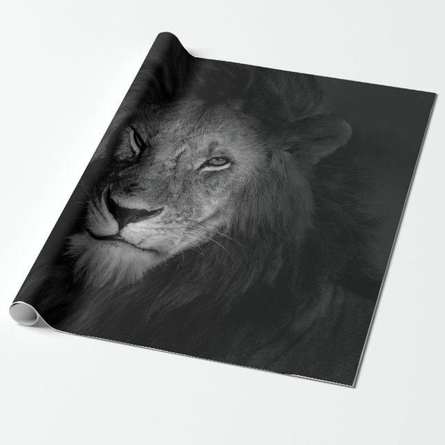 PAPIER CADEAU MÂLE LION (Déroulé)