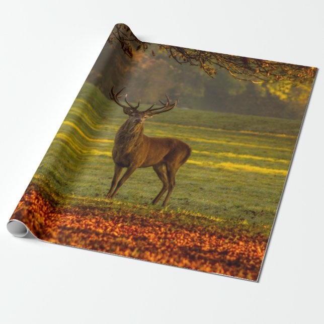 Papier Cadeau Mâle sauvage (Déroulé)