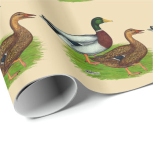 Papier Cadeau Mallard Drake et Duck