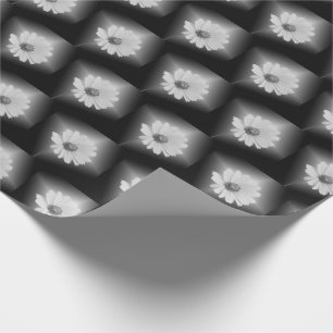 Papier Cadeau marguerite blanche brillante sur noir