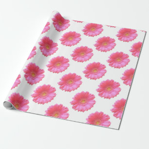 Papier Cadeau Marguerite rose de gerbera