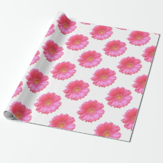 Papier Cadeau Marguerite rose de gerbera