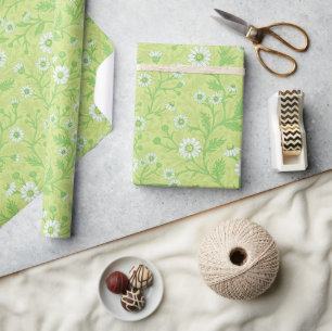 Papier Cadeau Marguerites en blanc et vert sur fond vert miel