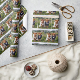 Papier Cadeau Mariage Écossais Vaches des Highlands