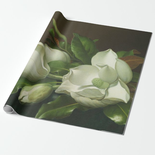 Papier Cadeau Martin Johnson Heade - Magnolias (Déroulé)
