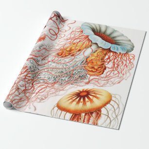 Papier Cadeau Méduse, Discomedusae par Ernst Haeckel