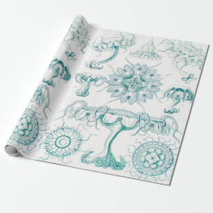 Papier Cadeau Méduse, Discomedusae par Ernst Haeckel