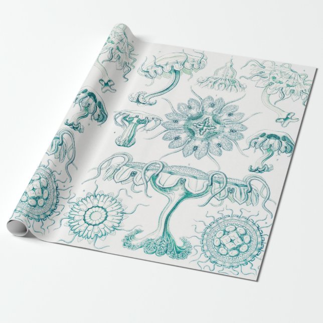 Papier Cadeau Méduse, Discomedusae par Ernst Haeckel (Déroulé)