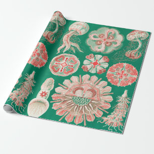 Papier Cadeau Méduse, Discomedusae par Ernst Haeckel