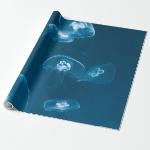 Papier Cadeau Mer