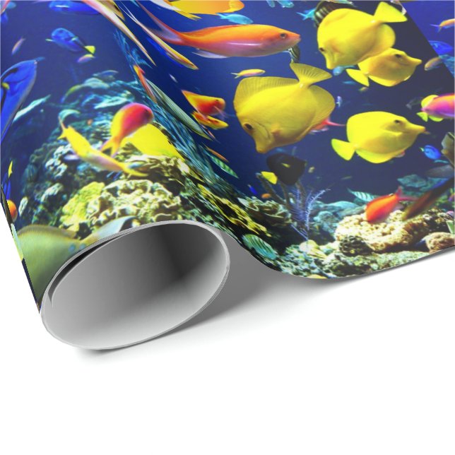 Papier Cadeau mer de poisson (Coin rond)
