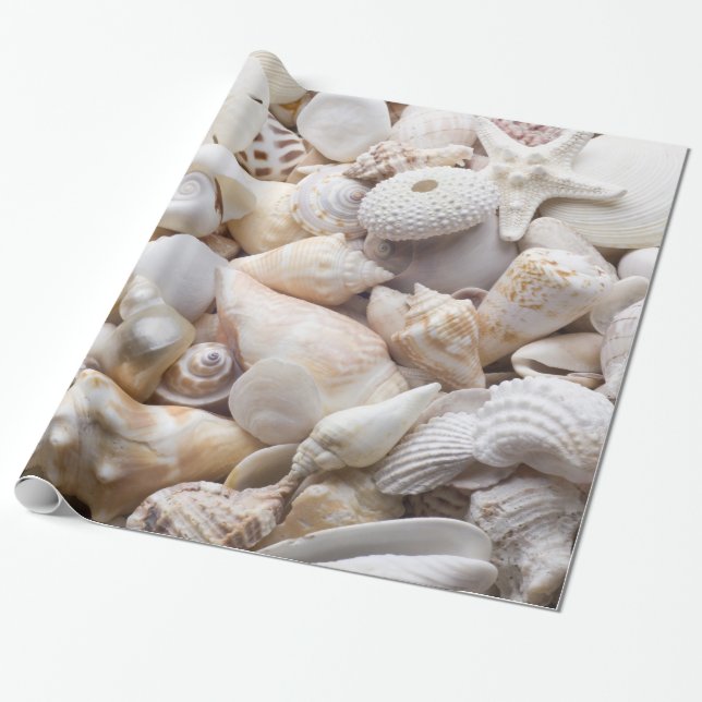 Papier Cadeau Mer Shell et arrière - plan d'étoiles de mer - (Déroulé)