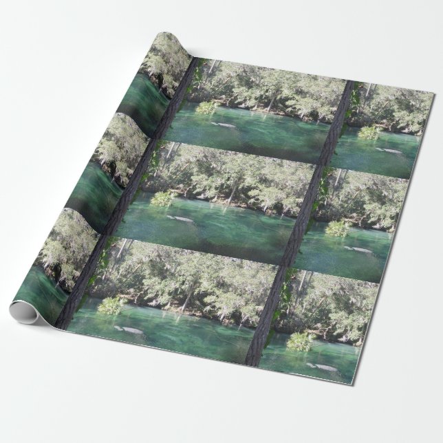 Papier Cadeau Mère et bébé Manatee Nature Photo Sources Bleues (Déroulé)
