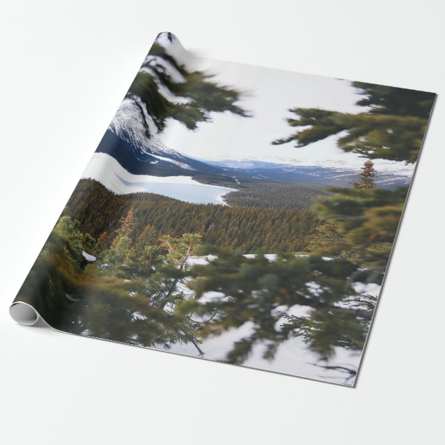 Papier Cadeau Montagne de Milou (Déroulé)
