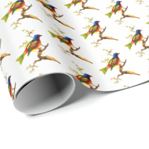 Papier Cadeau Motif coloré Vintage d'illustration d'oiseaux