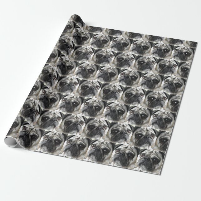 Papier Cadeau Motif de chien de carlin (Déroulé)