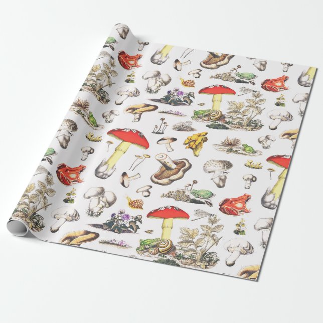 Papier Cadeau Motif de la Forêt d'escargots de grenouille (Déroulé)