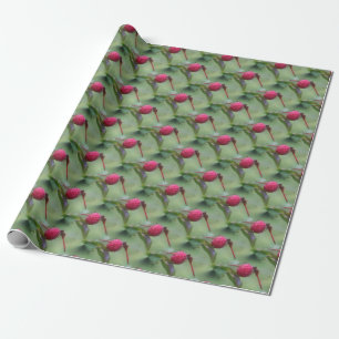 Papier Cadeau Motif de la nature des libellules rouges  