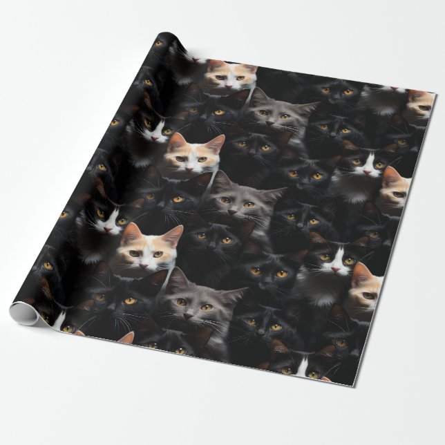 Papier Cadeau Motif de photographie de chat mignon (Déroulé)