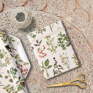 Papier Cadeau Motif de plante verte d'herbier vintage