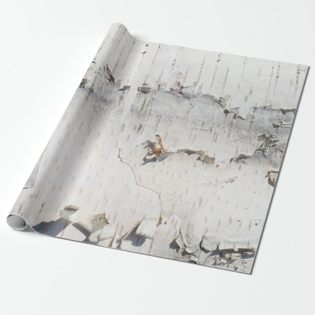 Papier Cadeau Motif d'écorce de bouleau (Déroulé)