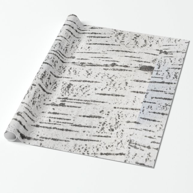 Papier Cadeau Motif d'écorce de bouleau (Déroulé)
