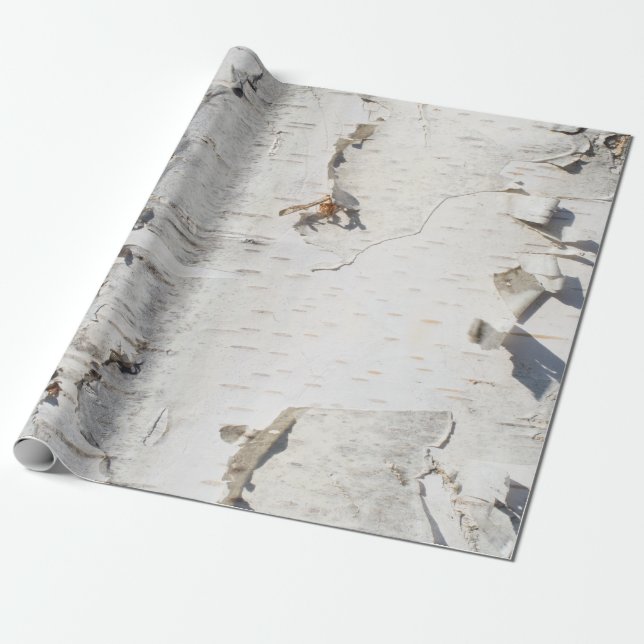 Papier Cadeau Motif d'écorce de bouleau (Déroulé)