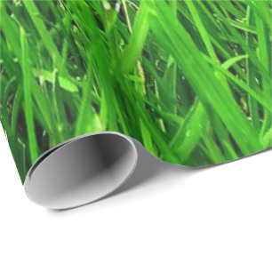 Papier Cadeau motif d'herbe, PAPIER d'ENVELOPPE,