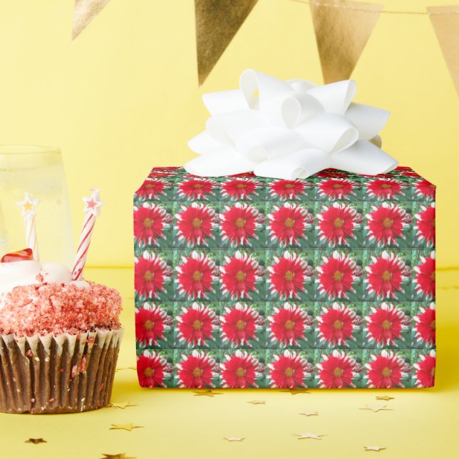 Papier Cadeau Motif floral dahlia rouge et blanc (Fête d'anniversaire)