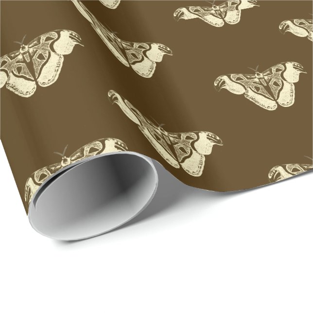 Papier Cadeau Motif moth tzigane, chocolat et beige (Coin rond)