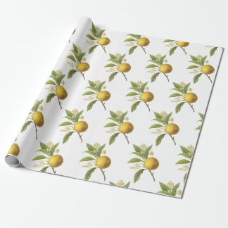 Papier Cadeau Motif Orange