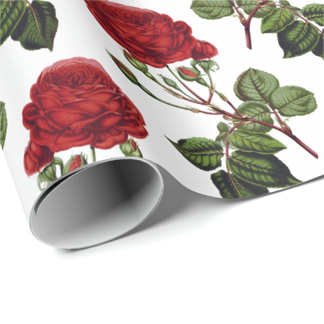 Papier Cadeau Motif romantique de Roses rouges (Coin rond)
