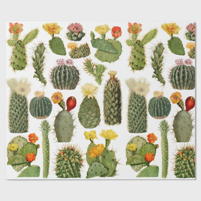 Papier Cadeau Motif tendance Vintage Cactus (Plat)