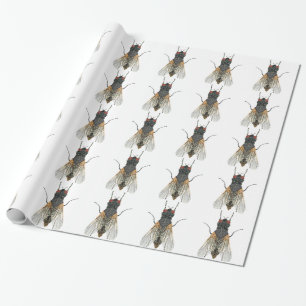 Papier Cadeau mouche de maison.