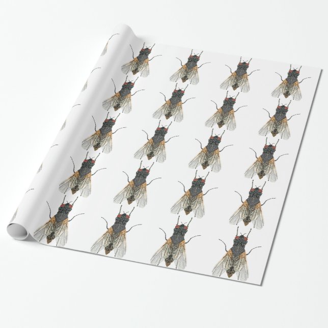 Papier Cadeau mouche de maison. (Déroulé)