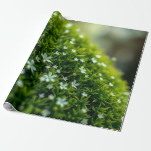 Papier Cadeau Mousse de forêt enchantée de printemps