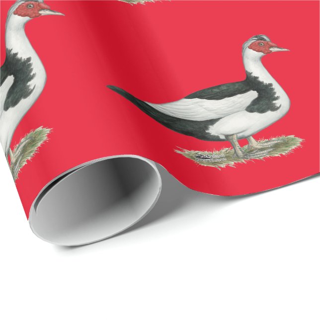 Papier Cadeau Muscovy Drake pie noir (Coin rond)